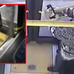 77 nömrəli marşrut avtobusunda hadisə – Yaşlı qadın… – VİDEO