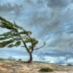 İki gün güclü külək əsəcək – SARI XƏBƏRDARLIQ