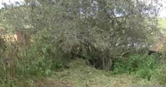 Daşkəsəndə qayınanasını balta ilə öldürən gəlinin meyiti tapılıb – FOTO