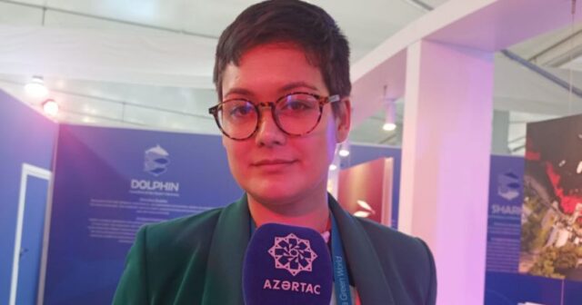 COP29 iştirakçısı: Dubayda keçirilən COP28 ilə Bakıdakı COP29 tamamilə fərqlidir