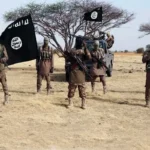 “Boko Haram” silahlıları Nigeriyada 20 nəfəri qətlə yetiriblər