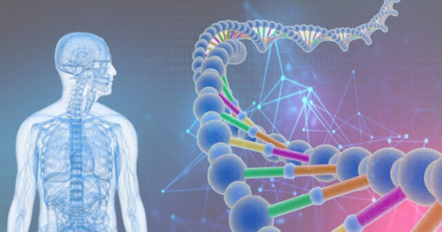 Genlərdən Kodlara: DNA proqramlamanın gələcəyi