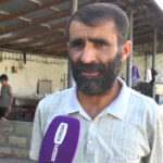 Kümçülər təhvil verdikləri baramanın pulunu niyə ala bilmirlər? – VİDEO