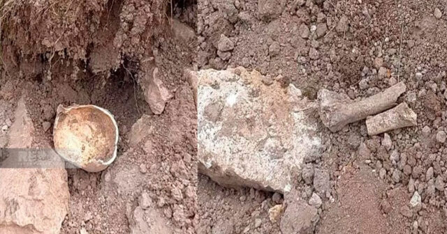 Laçında insan skeletinin qalıqları tapılıb