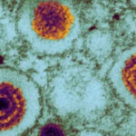Alimlər yeni təhlükəli virus aşkarlayıblar