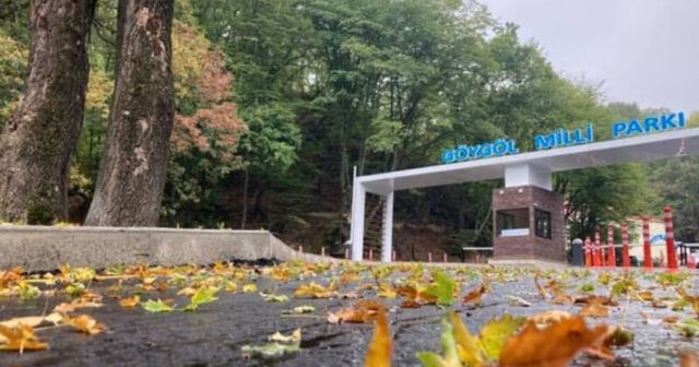 Göygöl Milli Parkına 411 min manatlıq avtomobil alındı