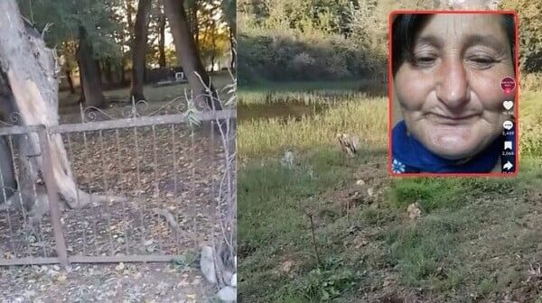 Qərənfil Seymurla evli olubmuş, ördəyi də pay veribmiş… – VİDEO Qərənfil Seymurla evli olubmuş, ördəyi də pay veribmiş… – VİDEO