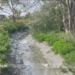 Ekoloji fəlakət: “Bala Kür” kimi tanınan Akkuşa çayı quruyur