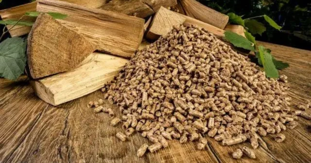 Elm və Təhsil Nazirliyi 4 milyon manata ağac peleti alır
