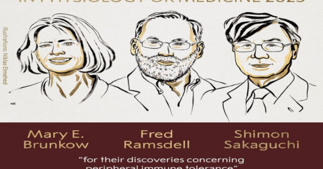 Tibb üzrə “Nobel” mükafatı laureatları məlum olub