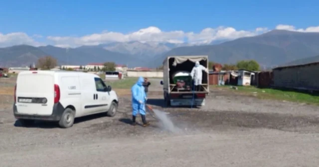 Heyvan bazarlarına qoyulan məhdudiyyət nə vaxta kimi davam edəcək? – VİDEO Heyvan bazarlarına qoyulan məhdudiyyət nə vaxta kimi davam edəcək? – VİDEO