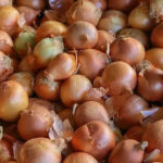 Soğan niyə ucuzdur və bu, nə qədər belə davam edəcək? – Ekspert Soğan niyə ucuzdur və bu, nə qədər belə davam edəcək? – Ekspert