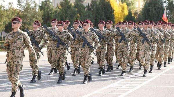 Daxili qoşunların tərkibi belə olacaq