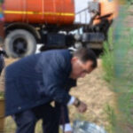 Qazaxda park “məhv edilir” – Ağaclar gecə ilə kəsildi, beton obyektlər ucalır – FOTOFAKT