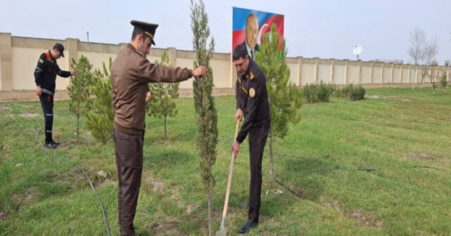 FHN-in Aran Regional Mərkəzi ağacəkmə aksiyası keçirib FHN-in Aran Regional Mərkəzi ağacəkmə aksiyası keçirib