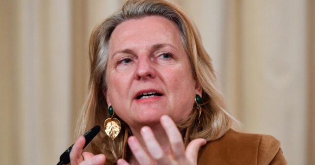 Kneissl ABŞ Konqresində bu haqqda məlumat verib