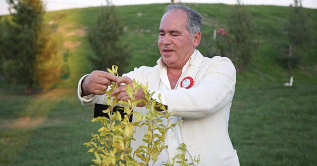 “AzNar” müflis olmaq ərəfəsində – Borc yarım milyona çatıb “AzNar” müflis olmaq ərəfəsində – Borc yarım milyona çatıb