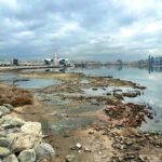 Xəzərin quruması ilə bağlı HƏYƏCAN – Ekspert elə şeylər dedi ki…