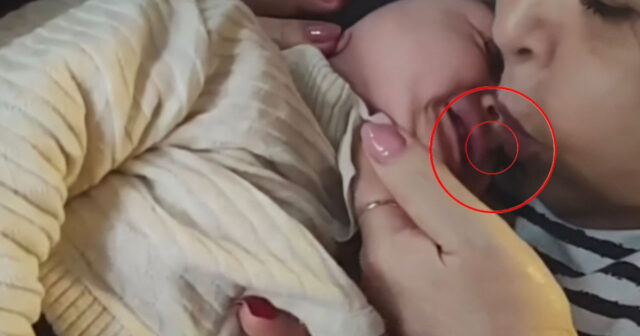 Sumqayıtda “çöpçü” qadının saxtakarlığı görüntülərlə ifşa edildi – VİDEO