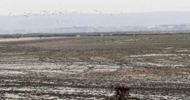 Azərbaycanın ən böyük göllərindən biri TƏHLÜKƏDƏ – VİDEO Azərbaycanın ən böyük göllərindən biri TƏHLÜKƏDƏ – VİDEO