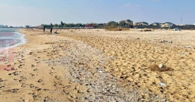 Üçgünlük uşağını dənizə atan qadının keçmiş əri cinayətin detallarını açıqladı – TƏFƏRRÜAT Üçgünlük uşağını dənizə atan qadının keçmiş əri cinayətin detallarını açıqladı – TƏFƏRRÜAT