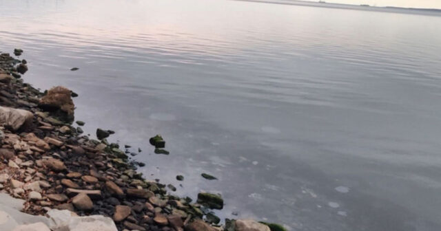 “Ağ Şəhər” bulvarının sahil hissəsindəki çirklənmə nədir? – VİDEO