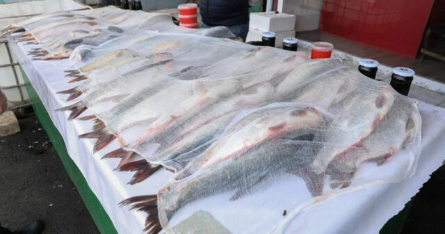 AQTA “Kəndli” bazarında nöqsanlar aşkarladı – FOTO
