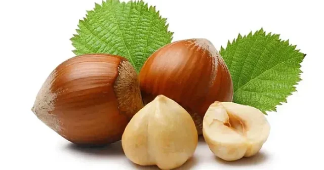 Fındıq ixracı Azərbaycana nə qədər qazandırıb? Fındıq ixracı Azərbaycana nə qədər qazandırıb?