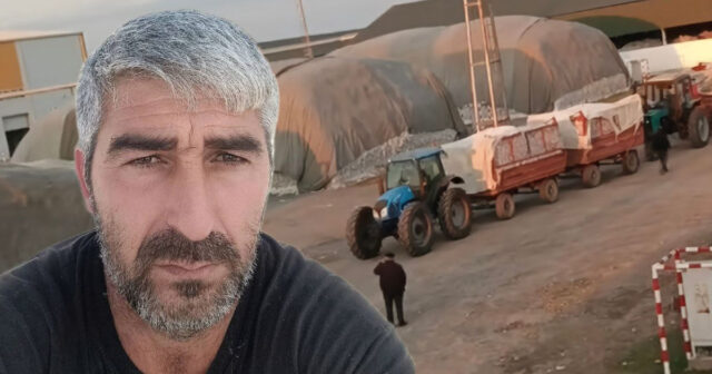 İmişlidə “Pambıq Təmizləmə Zavodu”nda 41 nəfərin yerinə 11 nəfər işləyir – əməkhaqqı hamıya yazılır? – VİDEO