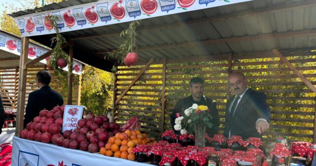Göyçayda ənənəvi “Nar Festivalı” keçirildi Göyçayda ənənəvi “Nar Festivalı” keçirildi