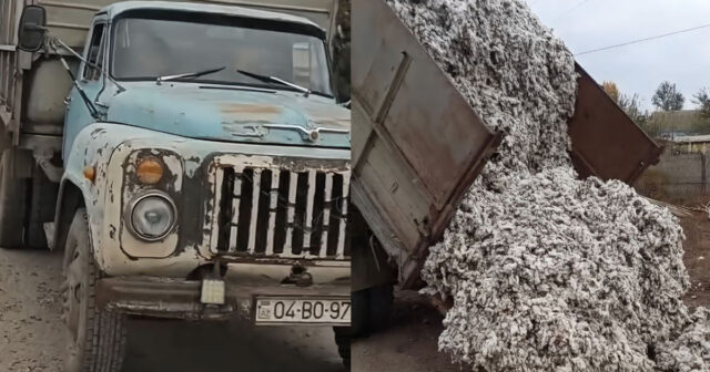 İmişlidə pambıq tədarükü ilə bağlı narazılıq – “Sadə kəndçilərin məhsulunu qəbul etmirlər” – VİDEO