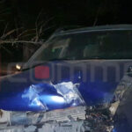 Göyçayda avtomobil ağaca çırpılıb, sürücü xəsarət alıb – FOTO