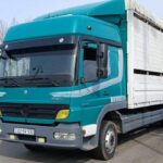 Növbəti köç karvanları Sos kəndinə və Qırmızı Bazara çatdı