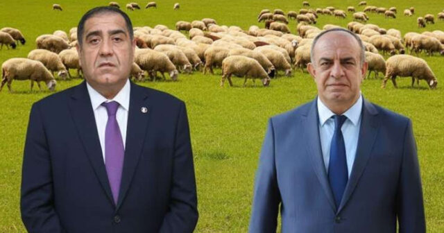 Həbs edilən icra başçıları şərik imiş