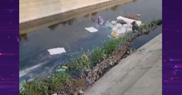 Saray bağlarında Samur-Abşeron kanalında antisanitar vəziyyət – VİDEO