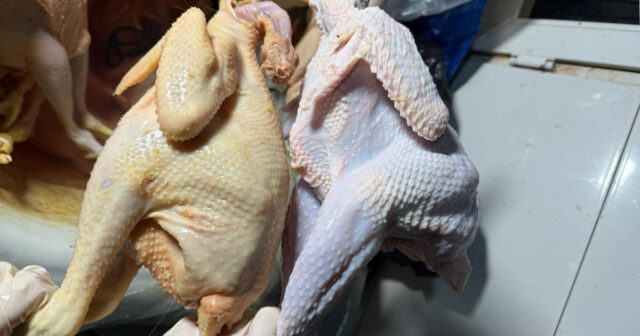 “Broyler toyuqları kəsib, kənd çolpası adı ilə satırlar” – FOTO