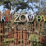 Bakı Zooparkı niyə panda ala bilmir… – Direktor müavini açıqladı