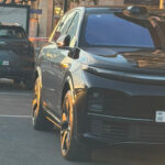 Fərid Mansurov maşını əks istiqamətdə saxladı – VİDEO