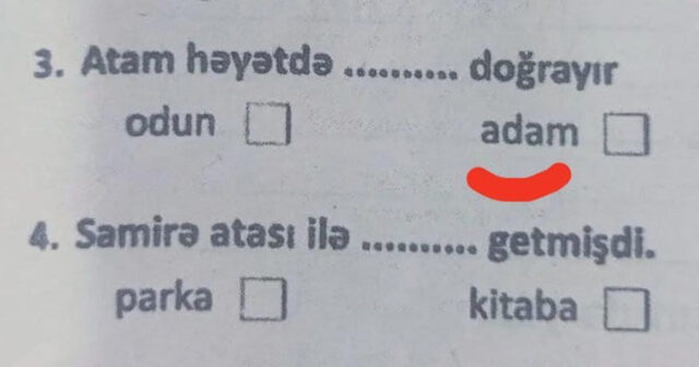 Bu sual həqiqətən məktəblilərə verilib? – Rəsmi açıqlama