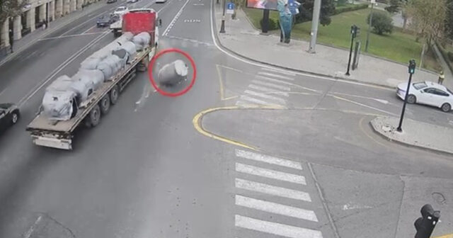 Hərəkətdə olan maşından yola yük düşdü, təhlükəli vəziyyət yarandı – VİDEO