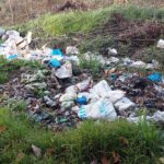 Masallıda meşə zibilliyə çevrilib – FOTOLAR Masallıda meşə zibilliyə çevrilib – FOTOLAR