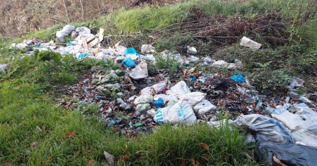 Masallıda meşə zibilliyə çevrilib – FOTOLAR Masallıda meşə zibilliyə çevrilib – FOTOLAR