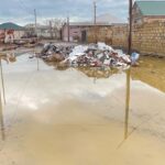 Sumqayıtda XXI əsr biabırçılığı: BTZ bağları hələ də kanalizasiyasızdır – VİDEO Sumqayıtda XXI əsr biabırçılığı: BTZ bağları hələ də kanalizasiyasızdır – VİDEO