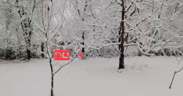 Quba-Qusar ağ örpəyə büründü – VİDEO Quba-Qusar ağ örpəyə büründü – VİDEO