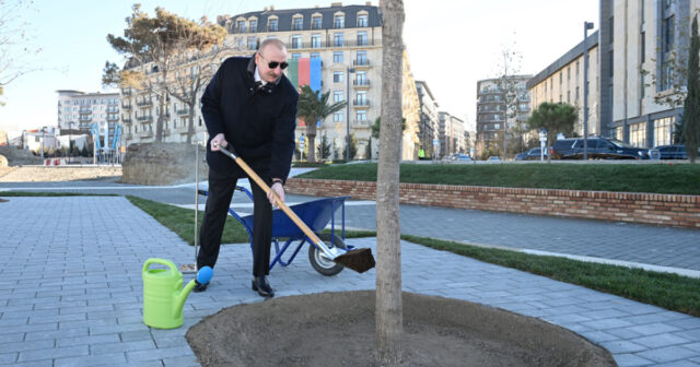 Parkdakı ilk palıd ağacını Prezident əkdi – VİDEO – FOTO Parkdakı ilk palıd ağacını Prezident əkdi – VİDEO – FOTO