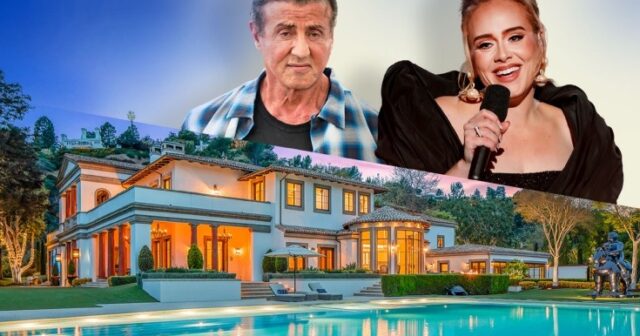 Adel sartın aldığı Stallonenin mülkündə daşı daş üstə qoymayıb