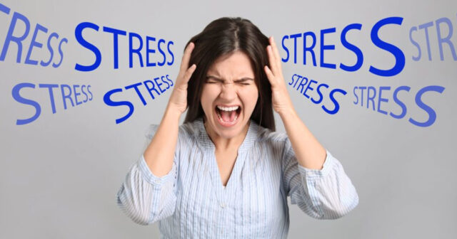 Stressi azaldan qidalar Stressi azaldan qidalar