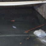 Bakıda 20 ildir yaşayış binasının zirzəmisinə su dolur – ŞİKAYƏT – VİDEO