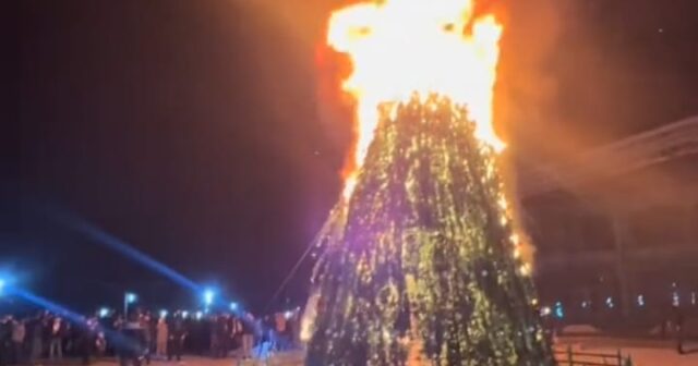 Şəmkirdə şəhər meydanında yolka yandı – FOTO