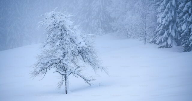 Bu ərazilərdə qar yağır – FAKTİKİ HAVA